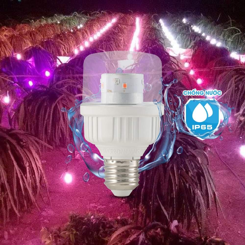 Looking for a distributor for LED grow light for dragon fruits